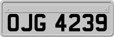 OJG4239