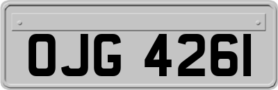 OJG4261