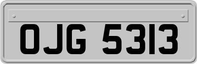 OJG5313