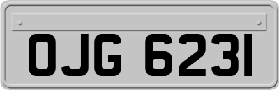 OJG6231