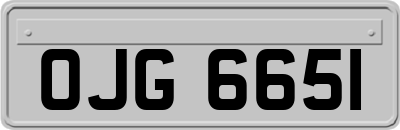 OJG6651