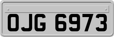 OJG6973