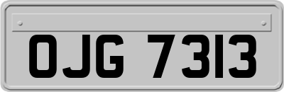 OJG7313