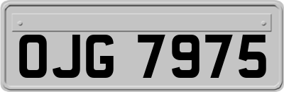 OJG7975