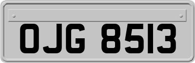 OJG8513