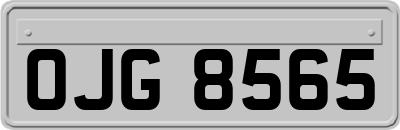 OJG8565