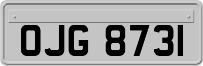 OJG8731
