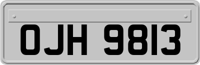 OJH9813