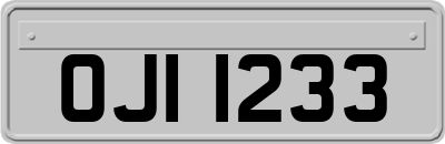 OJI1233