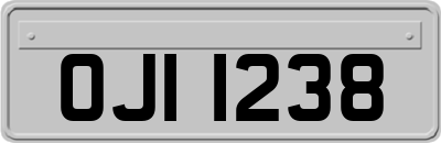 OJI1238