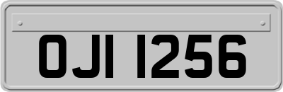 OJI1256