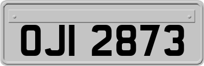 OJI2873