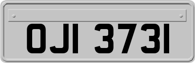 OJI3731
