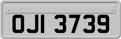 OJI3739