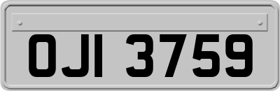 OJI3759