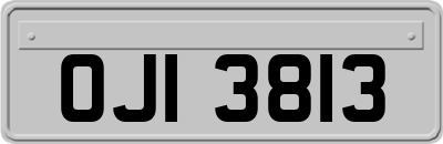 OJI3813