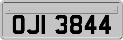 OJI3844
