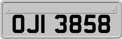 OJI3858