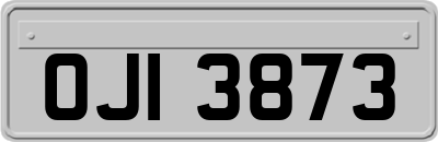 OJI3873