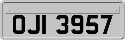 OJI3957