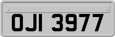 OJI3977