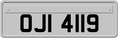 OJI4119