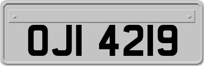 OJI4219