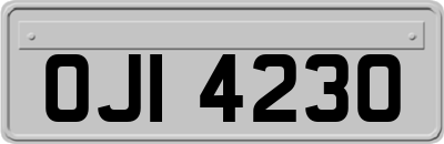 OJI4230