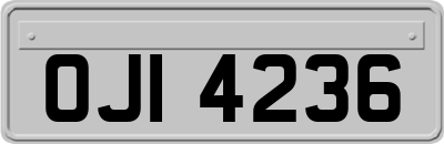 OJI4236