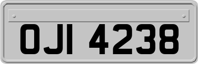 OJI4238