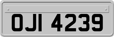 OJI4239