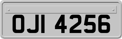 OJI4256