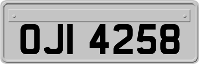 OJI4258