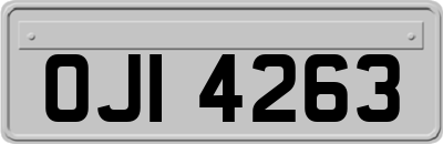 OJI4263