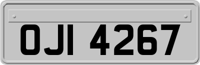 OJI4267