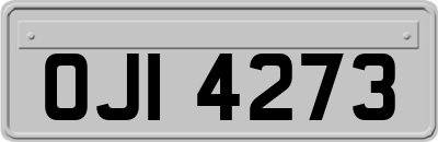 OJI4273
