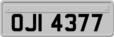 OJI4377