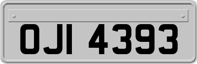 OJI4393