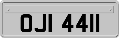 OJI4411