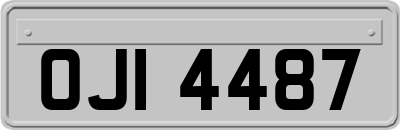 OJI4487