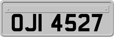 OJI4527