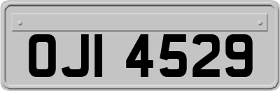 OJI4529