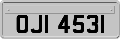 OJI4531