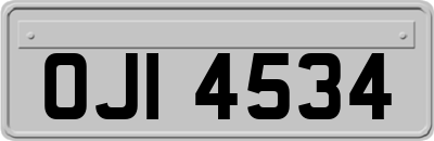 OJI4534