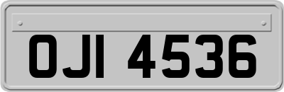 OJI4536