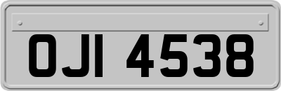 OJI4538