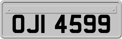 OJI4599
