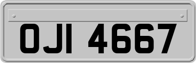 OJI4667