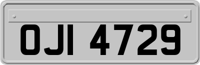 OJI4729