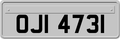 OJI4731